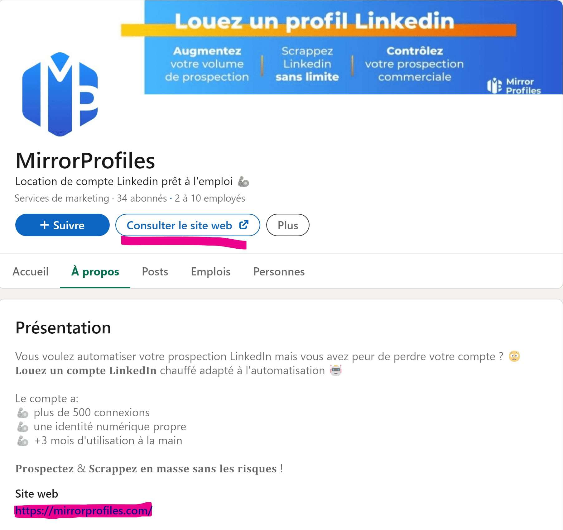 MirrorProfiles LinkedIn page